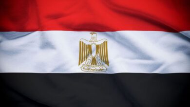 القاهرة تؤكد: وجود الجيش