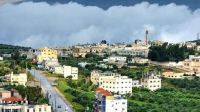 إنشاء كلية جامعية متوسطة
