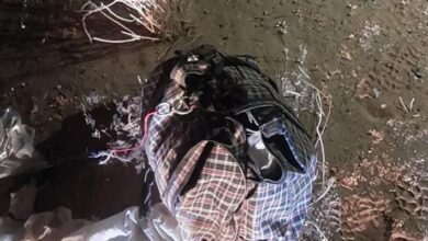 الجيش الأردني