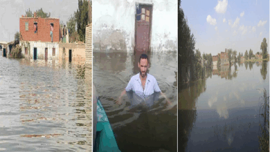 قرية دلهمو المصرية