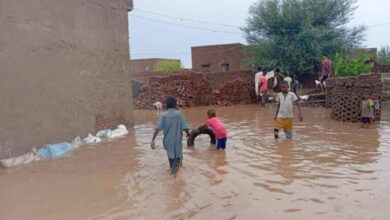 النيل الأبيض