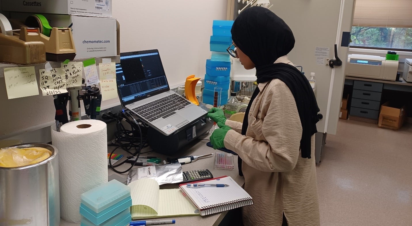 الجامعة الهاشمية
