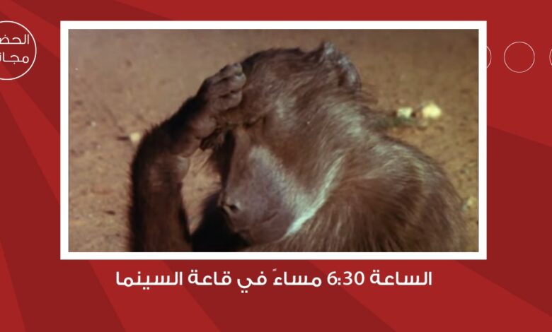 شومان