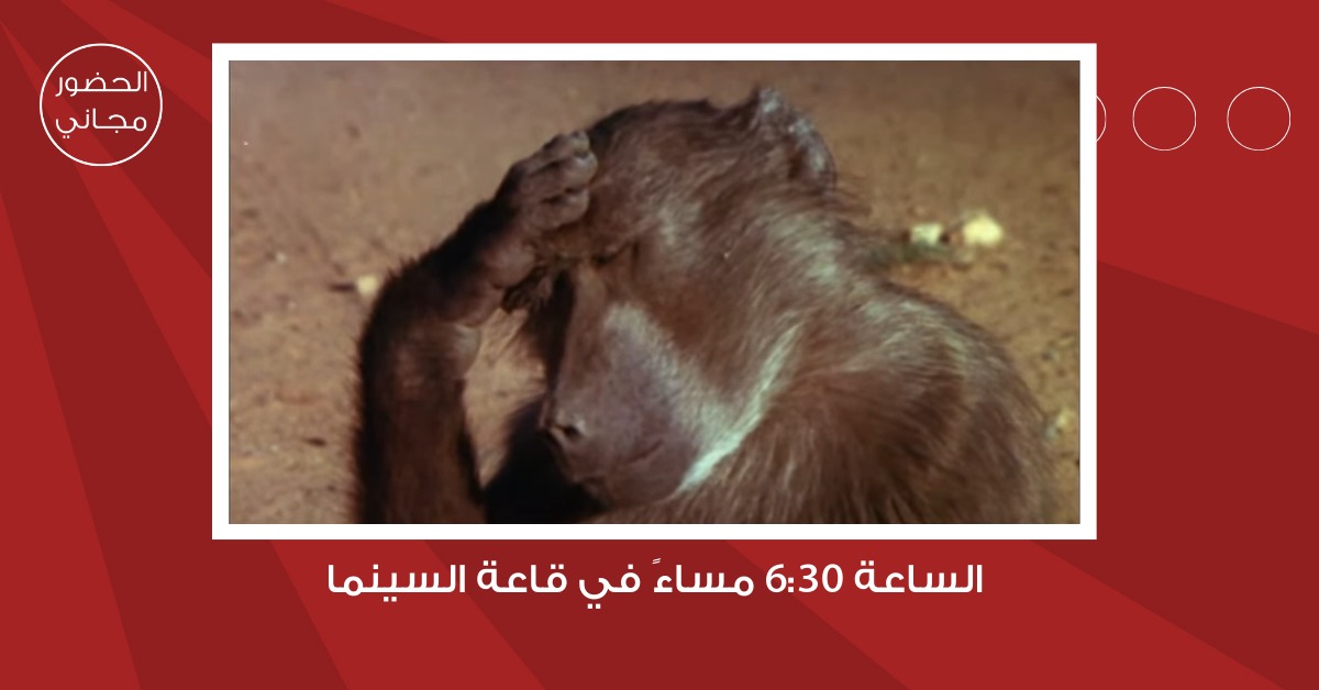 شومان