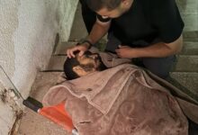 صالح الجعفراوي