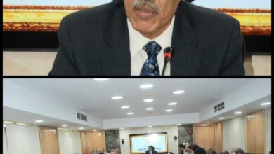 ضياء رشوان وزير الإعلام المصري