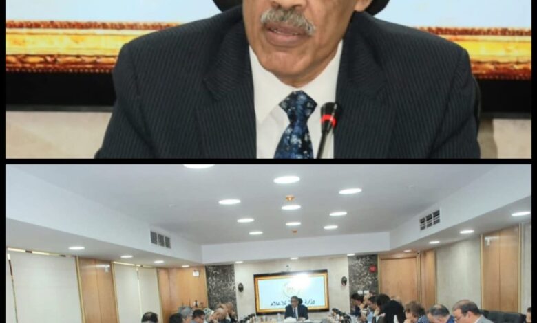 ضياء رشوان وزير الإعلام المصري