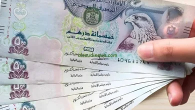 رواتب الشارقة 2026 وزيادة راتب الموظف الجامعي إلى 27125 درهماً