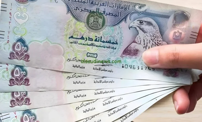 رواتب الشارقة 2026 وزيادة راتب الموظف الجامعي إلى 27125 درهماً