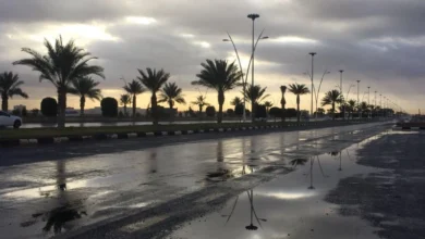أمطار رعدية وزخات برد متوقعة على 9 مناطق في السعودية