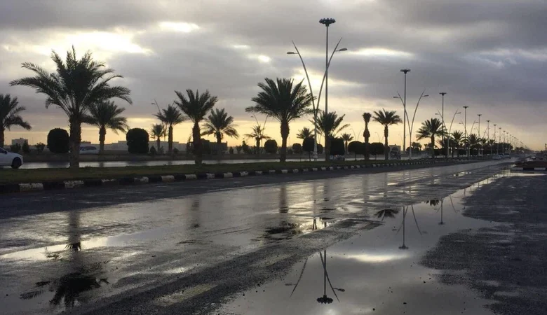 أمطار رعدية وزخات برد متوقعة على 9 مناطق في السعودية